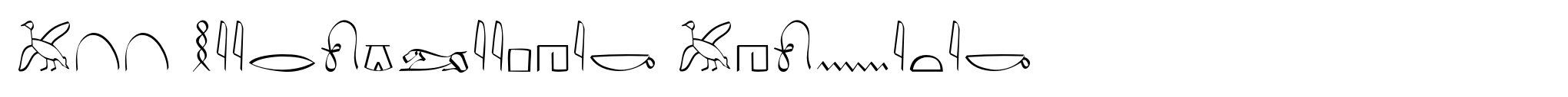 P22 Hieroglyphic Phonetic image